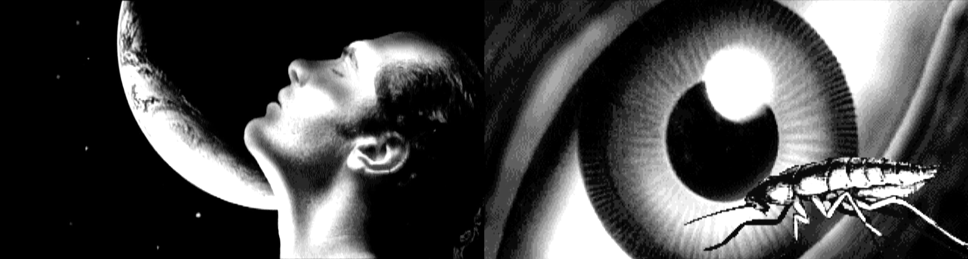 Two black and white screenshots of the demo Hardwired by
                Crionics and the Silents. The first images shows a close-up of a
                screaming man's head silhouetted against the moon. An extreme
                close-up of an eye with a cockroach in front of it.