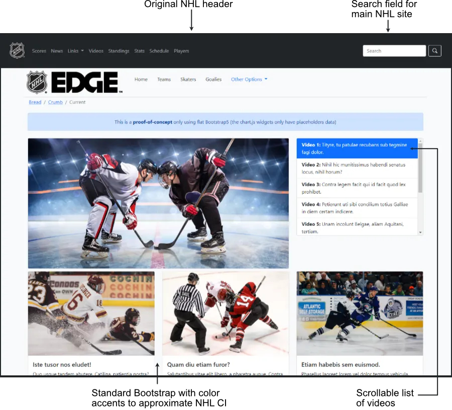 NHL POC description