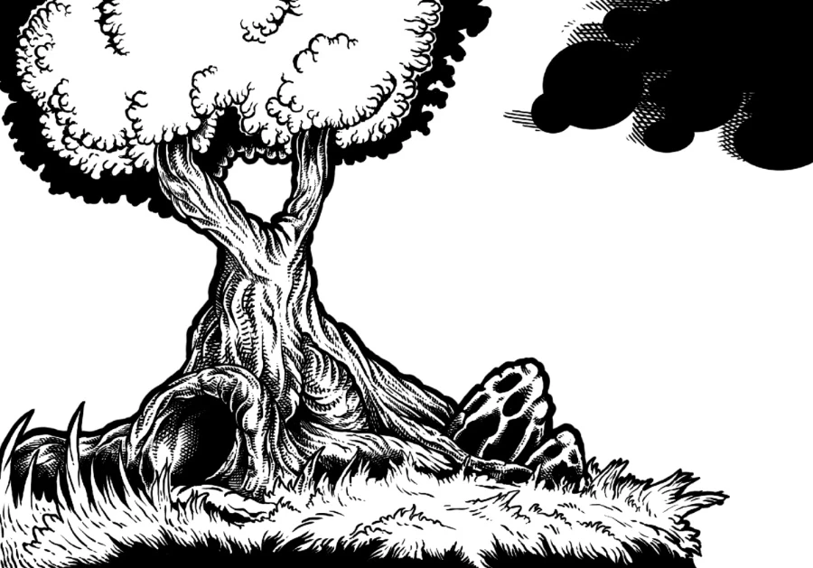 Step 4: Hatching