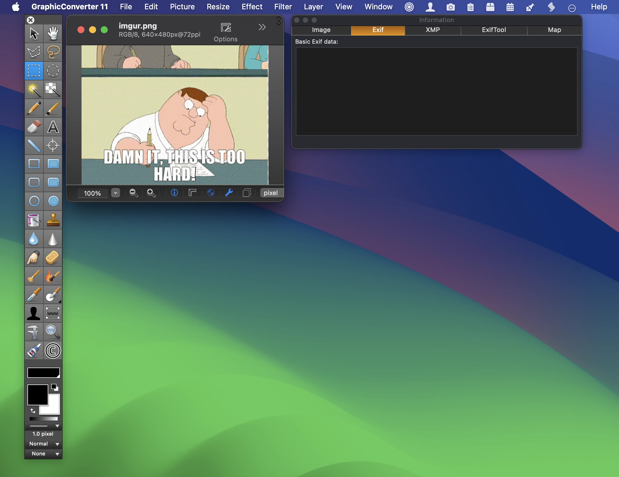 The image file opened in Graphic Converter