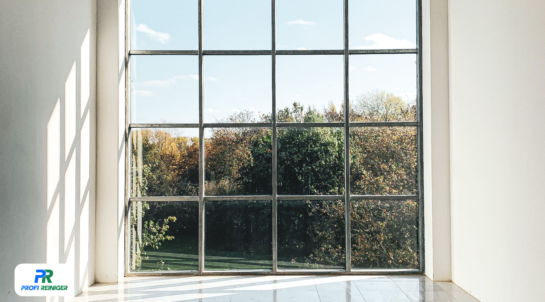 Fensterreinigung