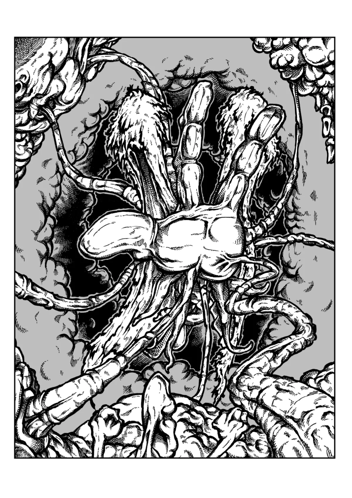 Tanim 2 Splash Page